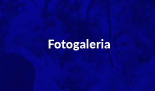 Logo Fotogaleria